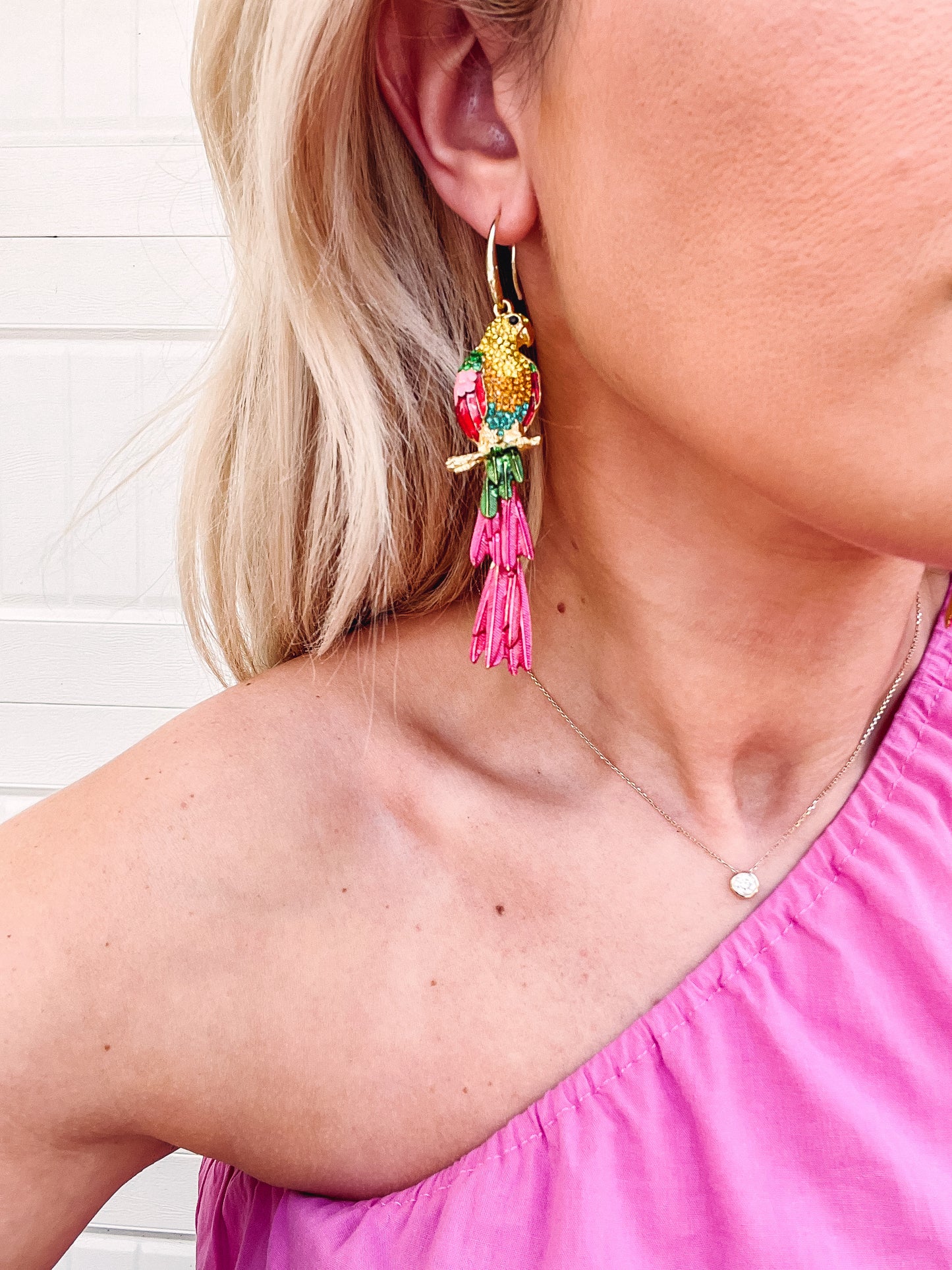 Colorful Parrot Stone Earrings